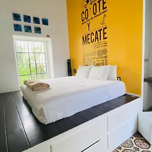 https://kuku-ruku.hotels-in-queretaro.com